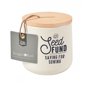 Seed fund money box stone